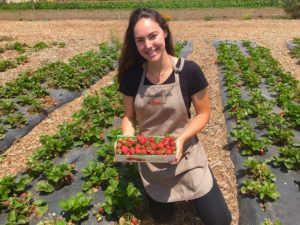 Isabella Hall picking strawberries